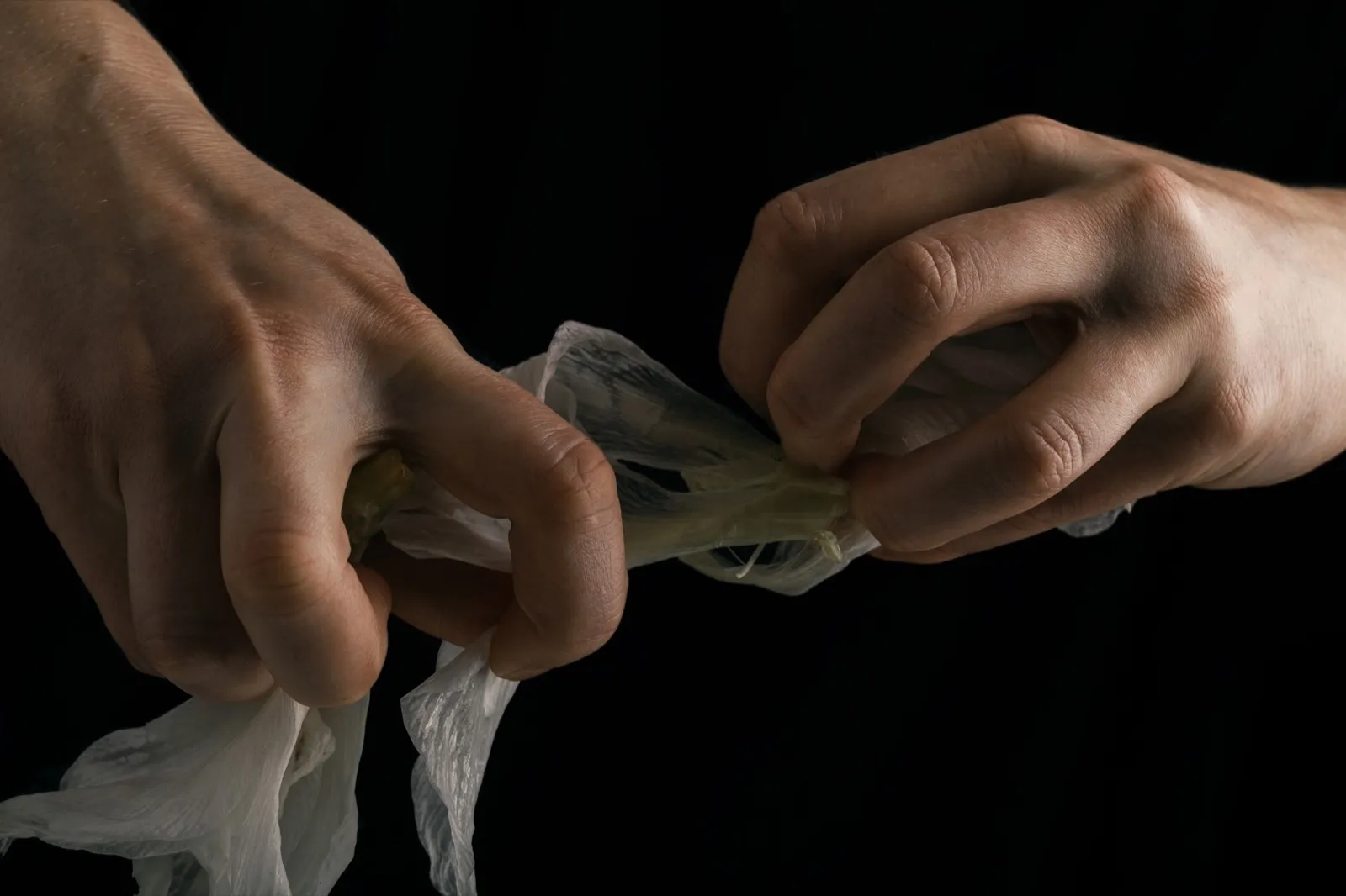 hands tearing white fragile flower, metaphor of violence abuse aggression